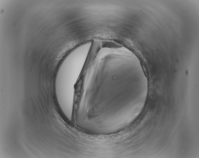 X0000088390019200706121221