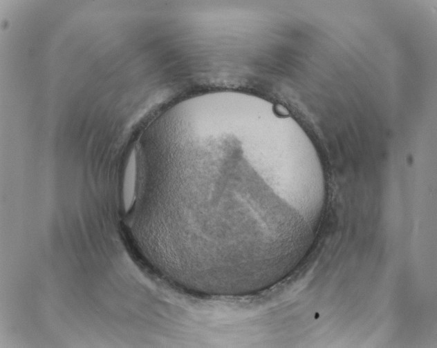 X0000088390020200706121221