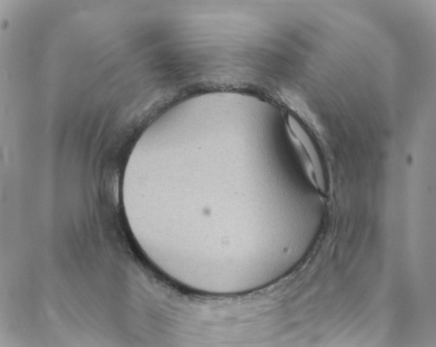 X0000088390021200706121221