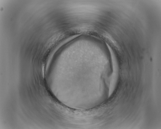 X0000088390022200706121221