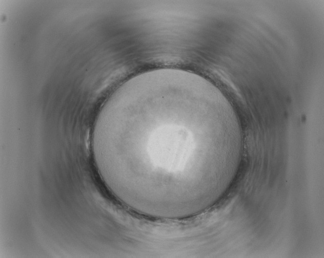 X0000088390024200706121221