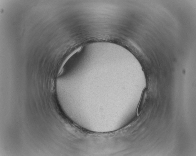 X0000088390025200706121221