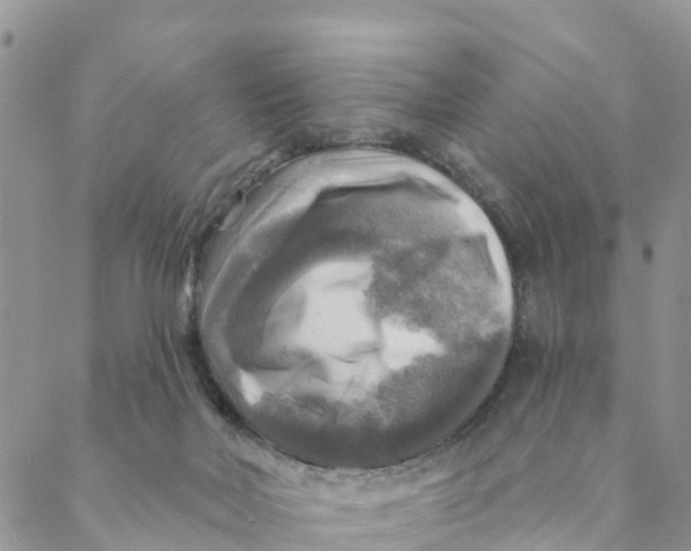 X0000088390026200706121221