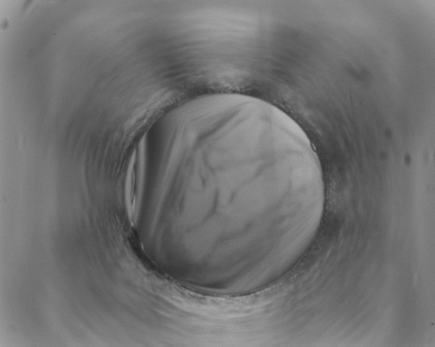 X0000088390027200706121221