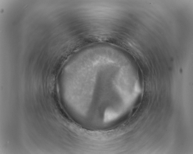 X0000088390030200706121221