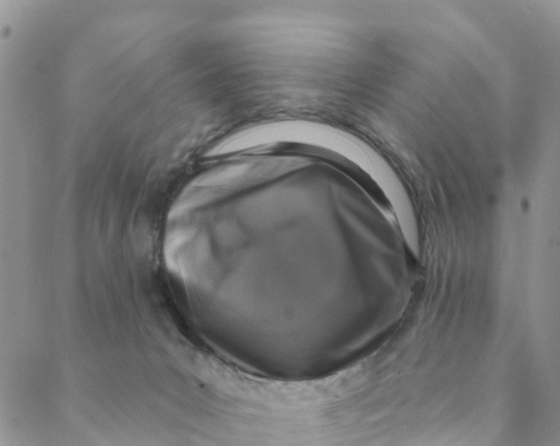 X0000088390031200706121221