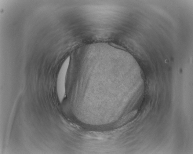 X0000088390033200706121221