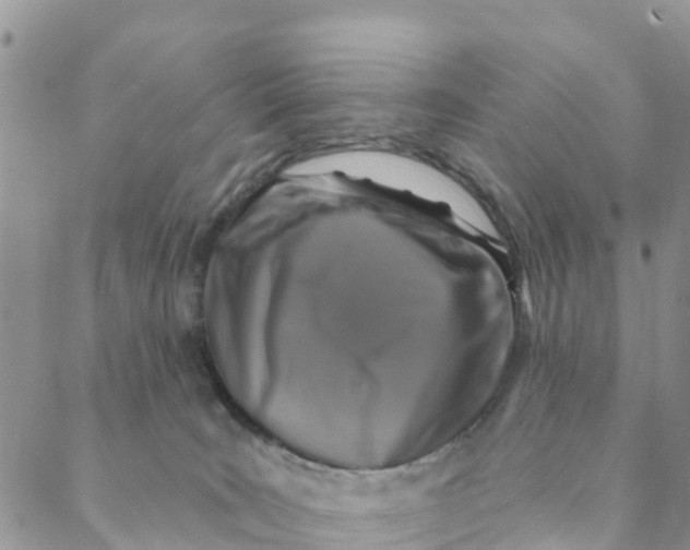 X0000088390035200706121221