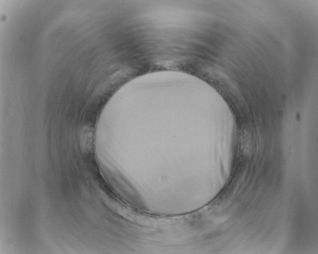 X0000088390036200706121221