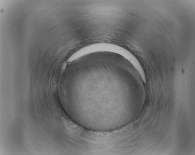 X0000088390037200706121221