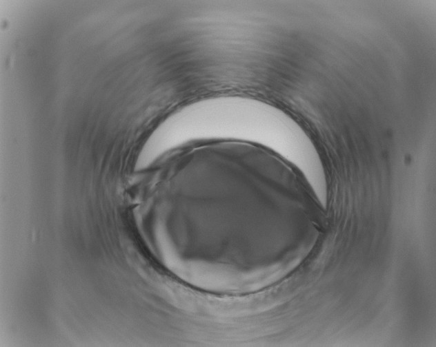 X0000088390039200706121221