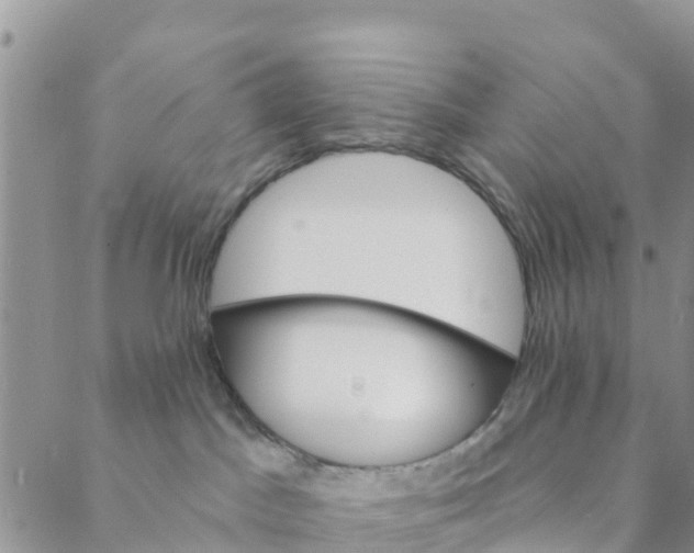 X0000088390045200706121221