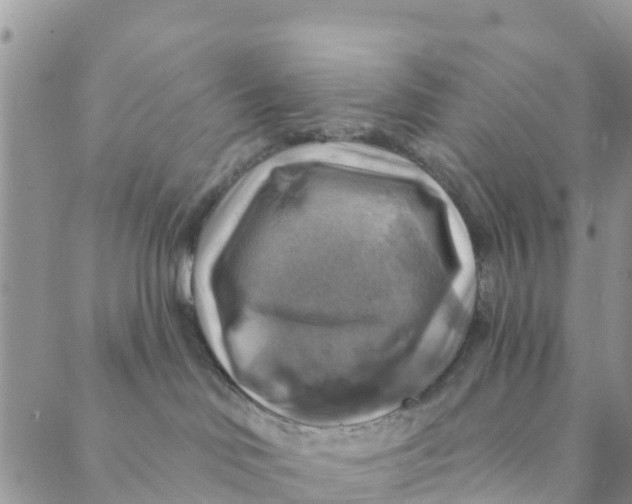 X0000088390046200706121221