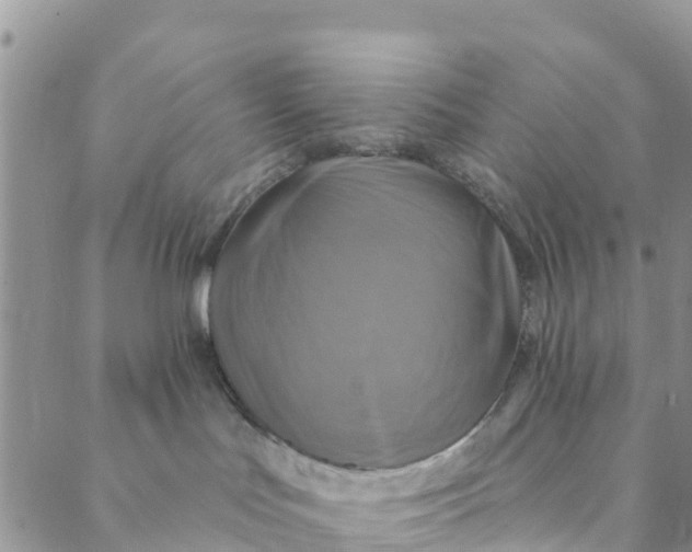 X0000088390047200706121221