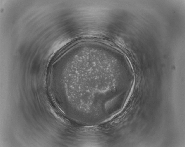 X0000088390050200706121220