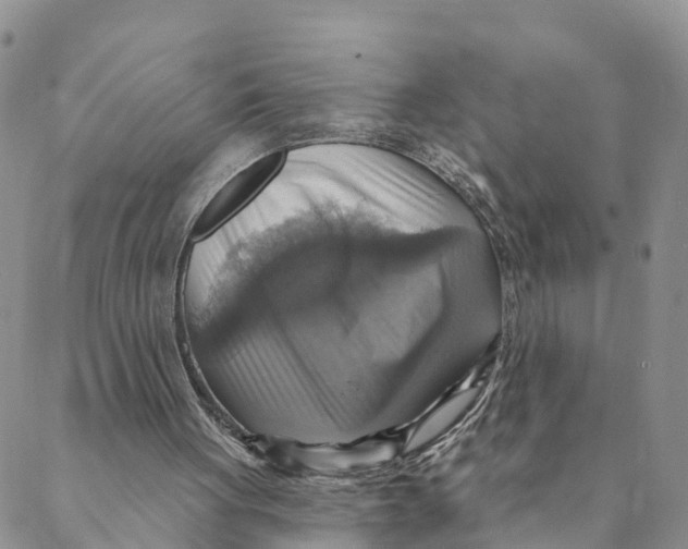 X0000088390051200706121220