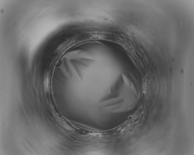 X0000088390052200706121220