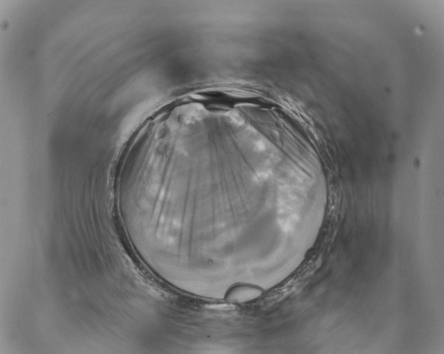 X0000088390053200706121220