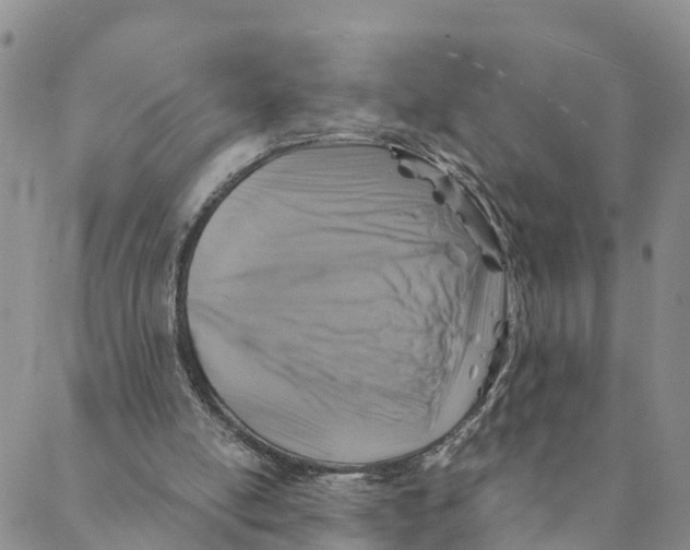 X0000088390054200706121220