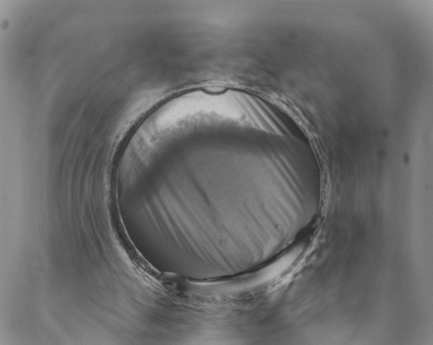 X0000088390055200706121220