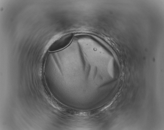 X0000088390056200706121220