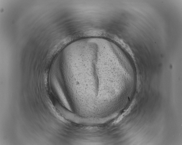 X0000088390057200706121220