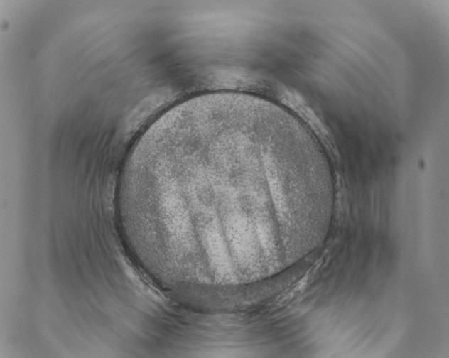 X0000088390058200706121220