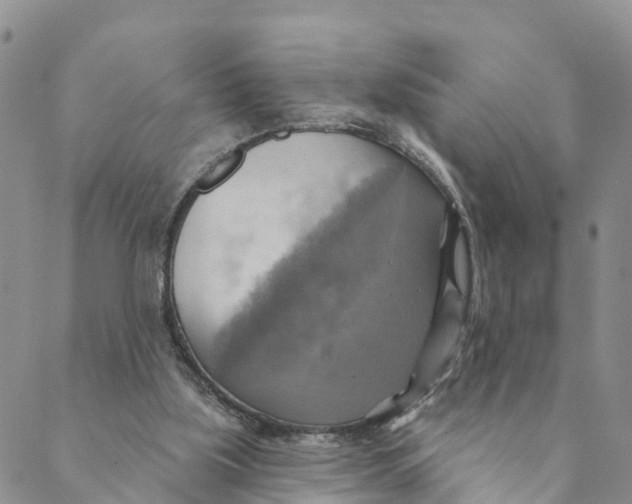 X0000088390059200706121220