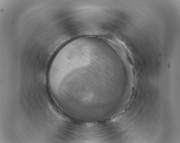 X0000088390060200706121220