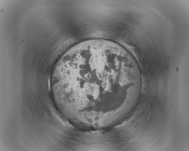 X0000088390061200706121220