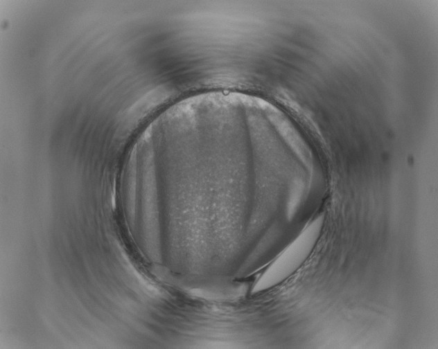 X0000088390062200706121220