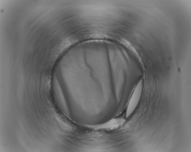 X0000088390063200706121220