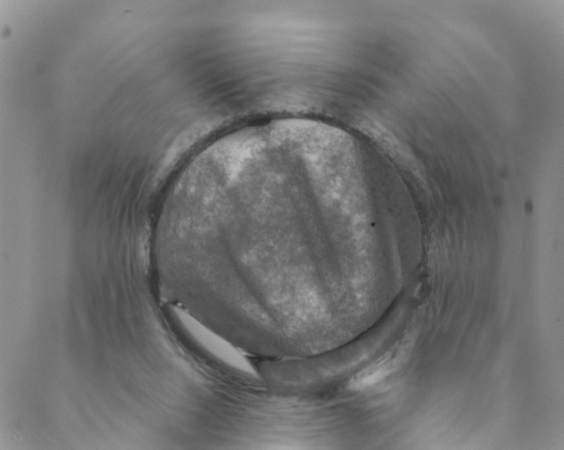 X0000088390064200706121220