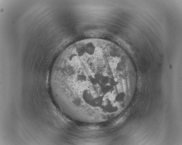 X0000088390065200706121220