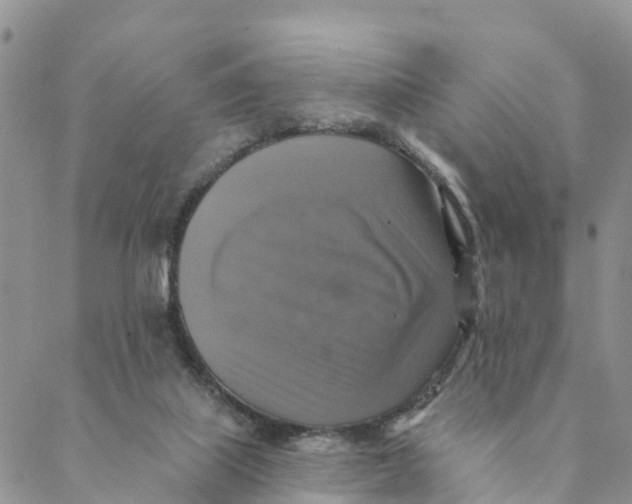 X0000088390067200706121220