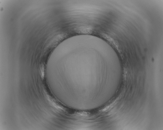 X0000088390069200706121220