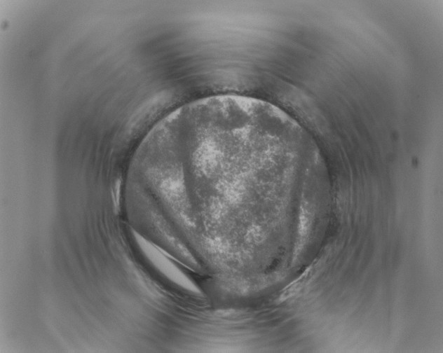 X0000088390070200706121220