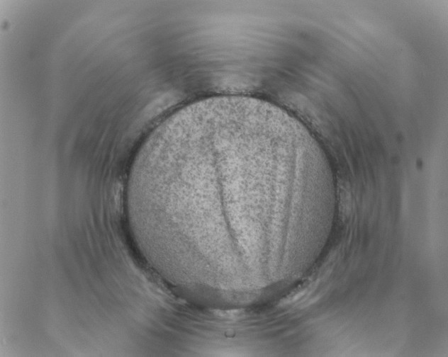 X0000088390071200706121220