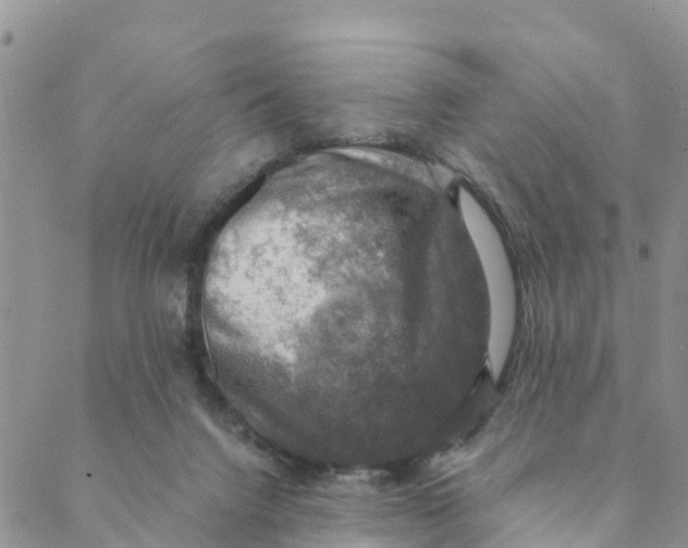 X0000088390072200706121220