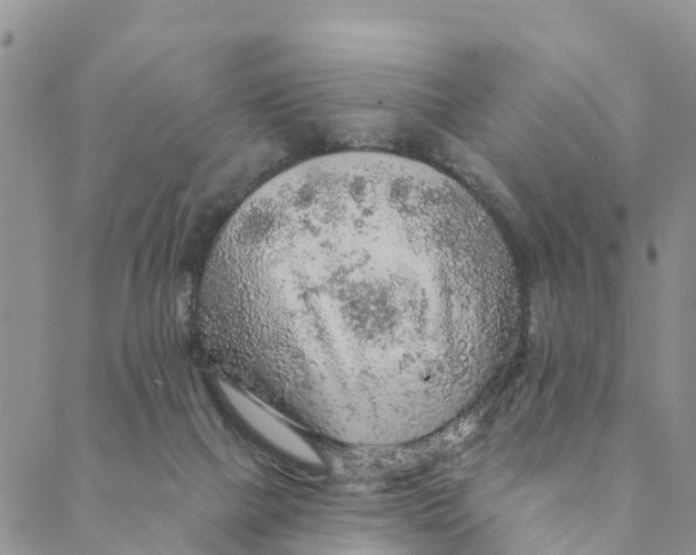 X0000088390073200706121220