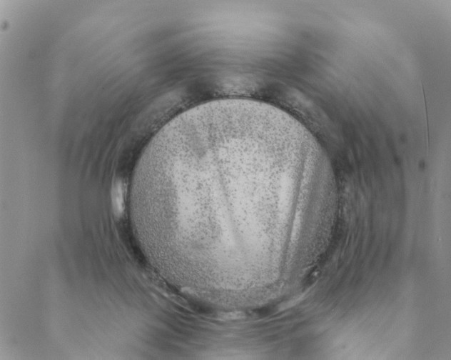 X0000088390075200706121220