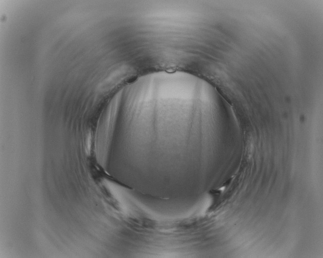 X0000088390076200706121220