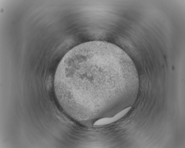 X0000088390077200706121220