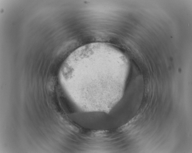 X0000088390078200706121220