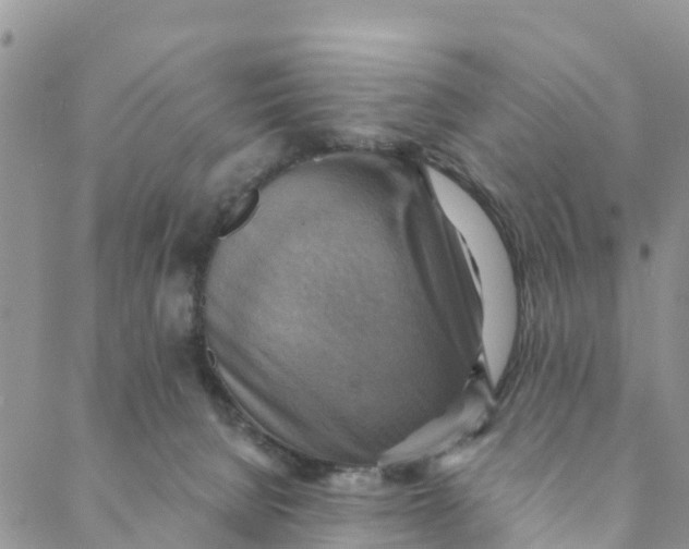 X0000088390080200706121220