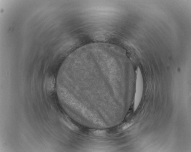 X0000088390081200706121220