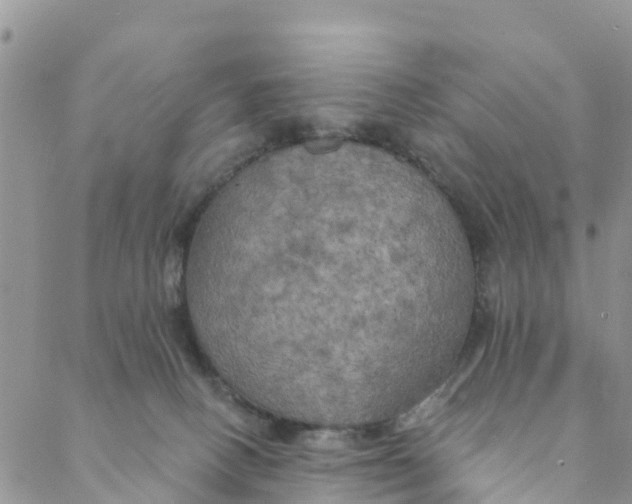 X0000088390082200706121220