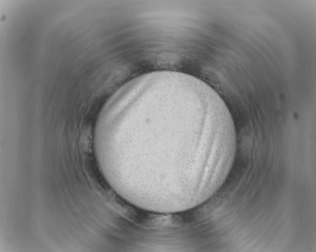 X0000088390083200706121220