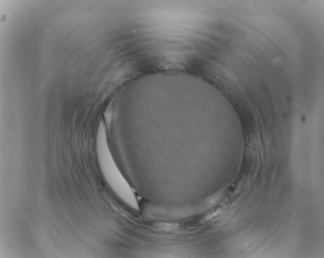 X0000088390084200706121220