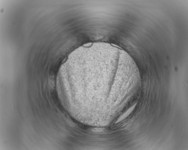 X0000088390085200706121221